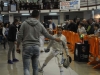 1^ prova Interregionale Ariccia 2016 SCIABOLA