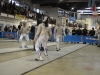 1^ prova Interregionale Ariccia 2016 SCIABOLA
